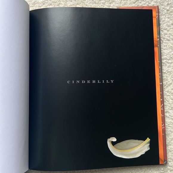 Book:  Cinderlily:  A Floral Fairy Tale - Picture 4 of 12